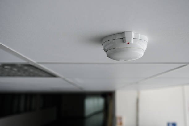 Compatibility with Other Systems